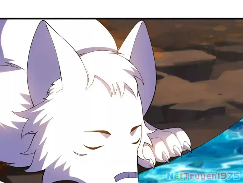 Huyễn Thú Của Ta Có Thể Tiến Hóa Vô Hạn Chapter 31 - 127