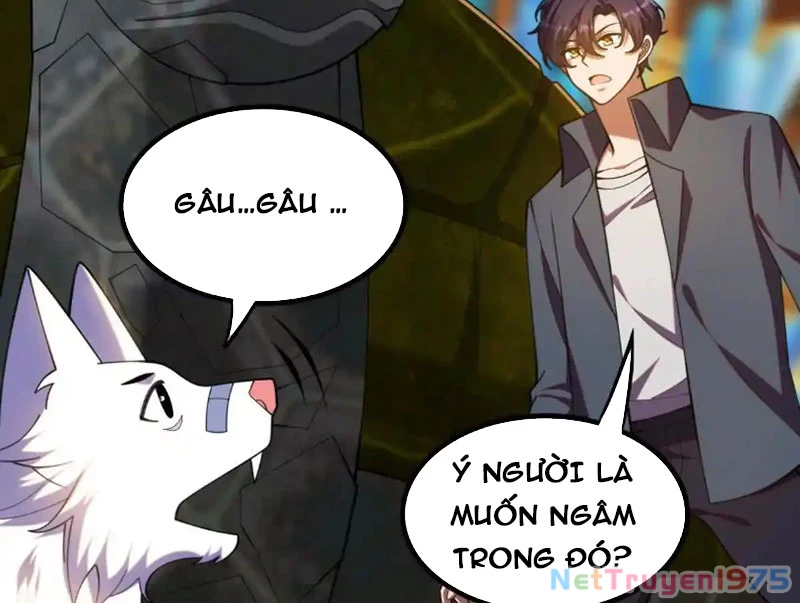 Huyễn Thú Của Ta Có Thể Tiến Hóa Vô Hạn Chapter 31 - 133
