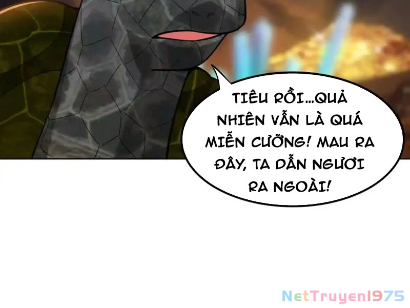 Huyễn Thú Của Ta Có Thể Tiến Hóa Vô Hạn Chapter 32 - 13