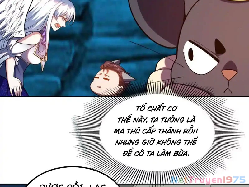 Huyễn Thú Của Ta Có Thể Tiến Hóa Vô Hạn Chapter 32 - 43