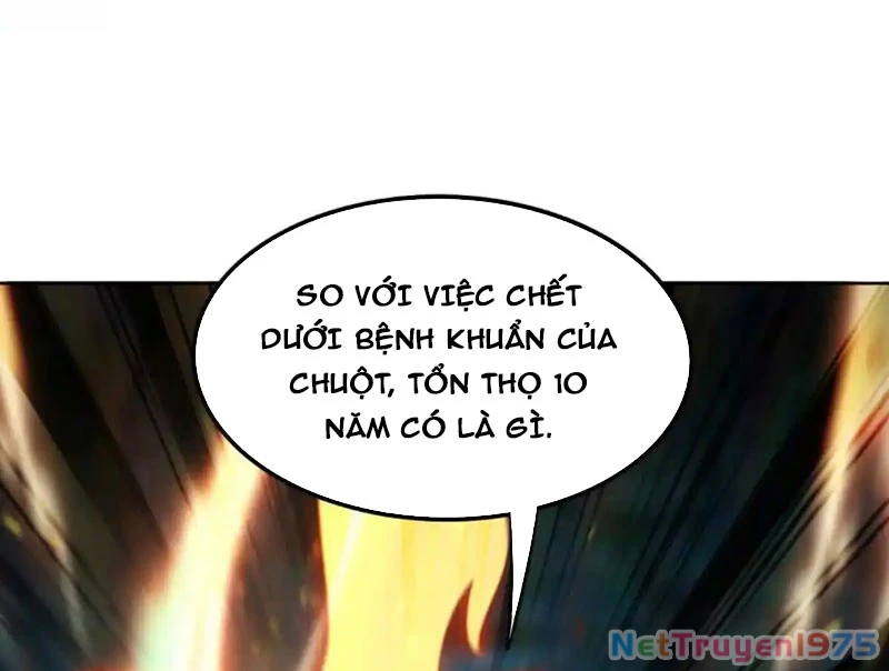 Huyễn Thú Của Ta Có Thể Tiến Hóa Vô Hạn Chapter 32 - 70