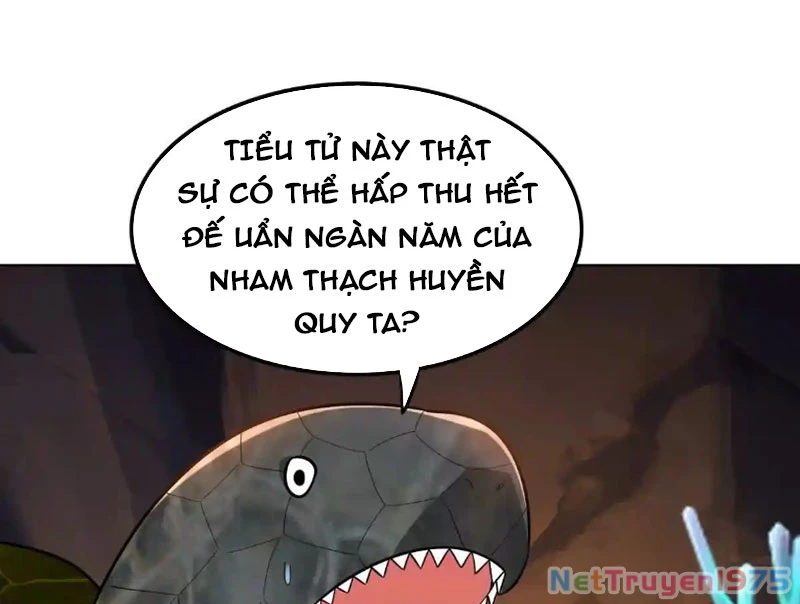 Huyễn Thú Của Ta Có Thể Tiến Hóa Vô Hạn Chapter 32 - 132