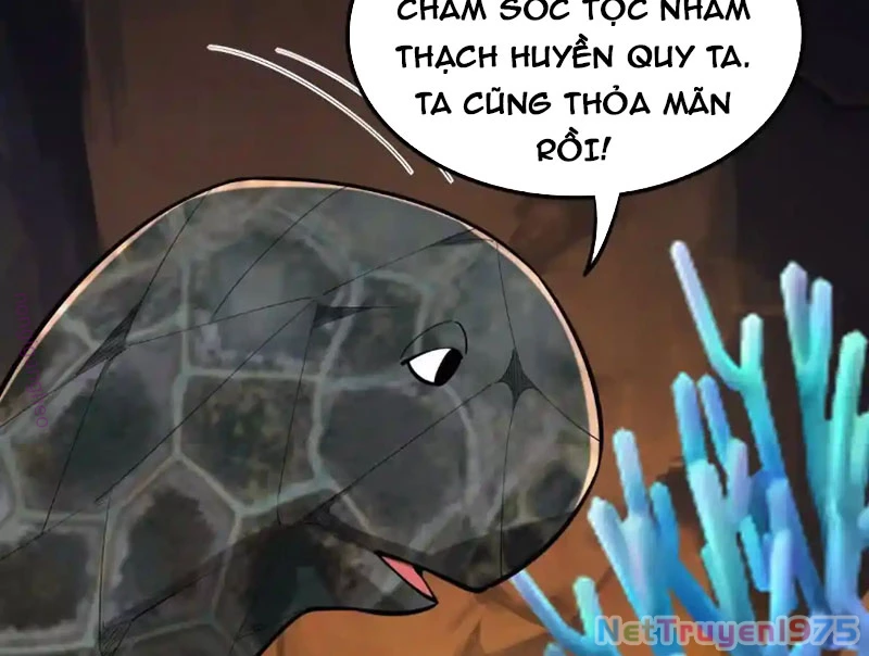 Huyễn Thú Của Ta Có Thể Tiến Hóa Vô Hạn Chapter 32 - 145