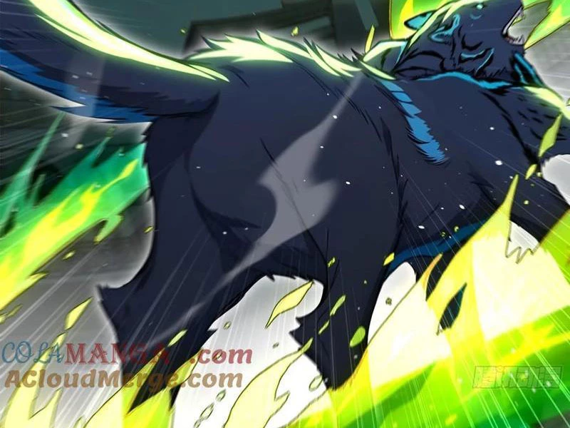 Đệ Nhất Ngự Thú Sư Chapter 59 - 29