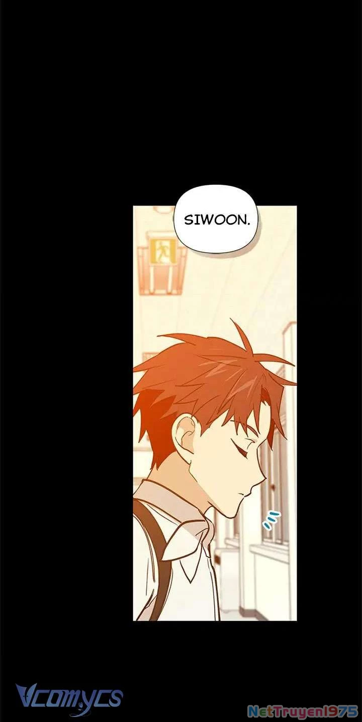 Điều Ước Sao Băng Chapter 43 - 35