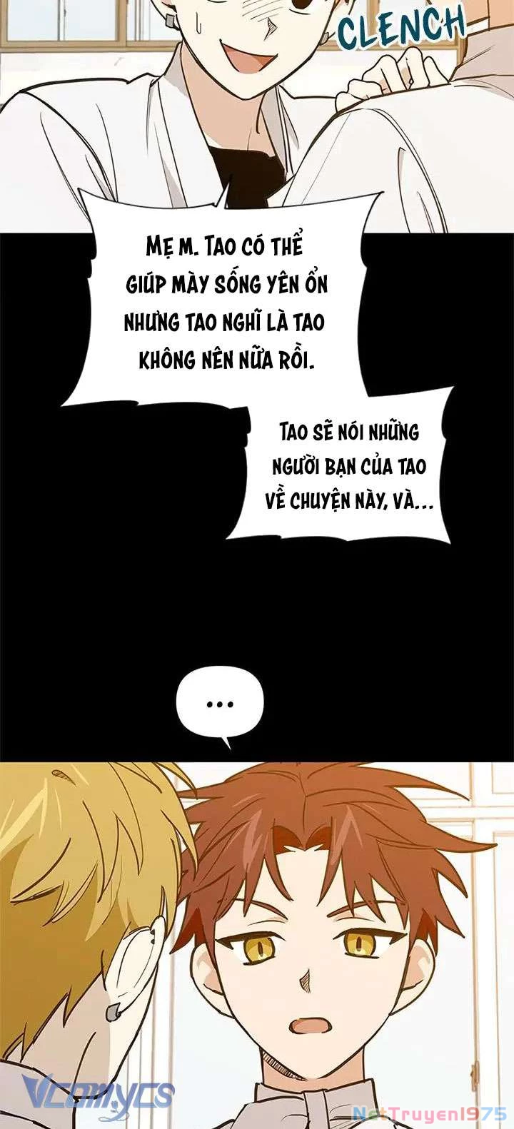 Điều Ước Sao Băng Chapter 43 - 52