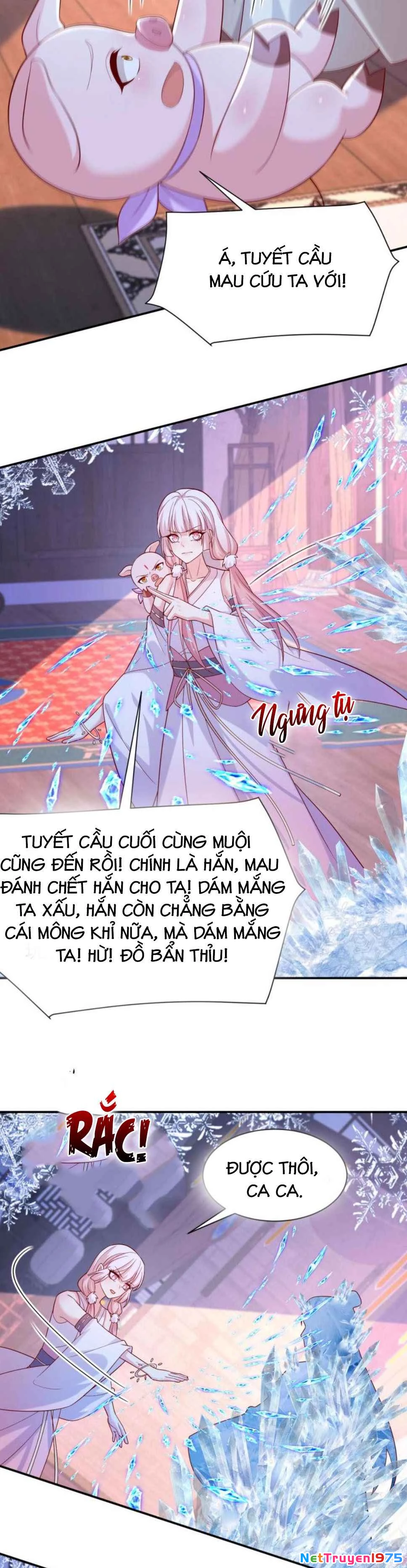 Chi Tôn Đồng Thuật Sư: Tuyệt Thế Đại Tiểu Thư Chapter 394 - 6