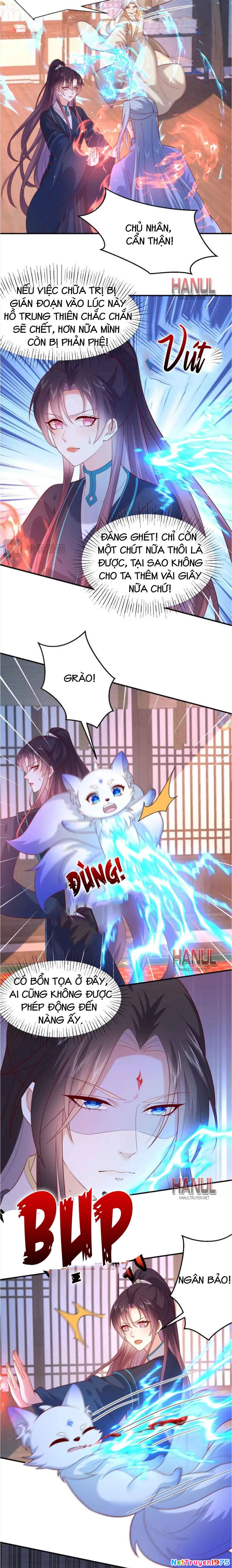 Chi Tôn Đồng Thuật Sư: Tuyệt Thế Đại Tiểu Thư Chapter 394 - 8