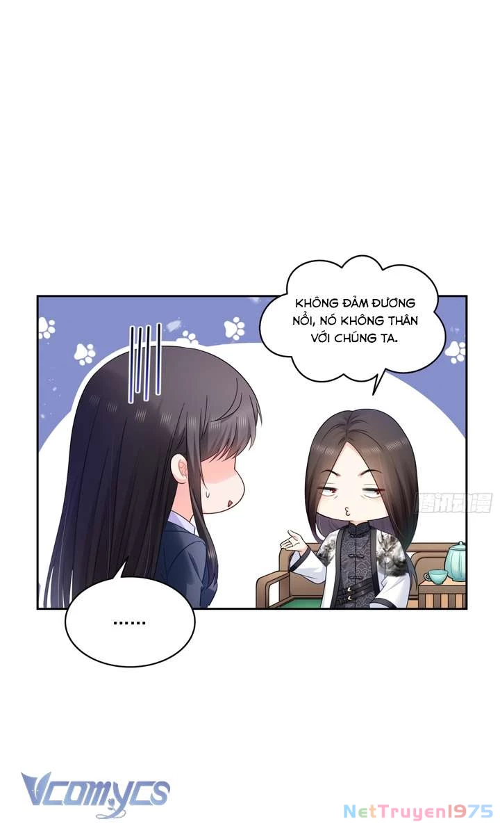 Hệt Như Hàn Quang Gặp Nắng Gắt Chapter 542 - 21