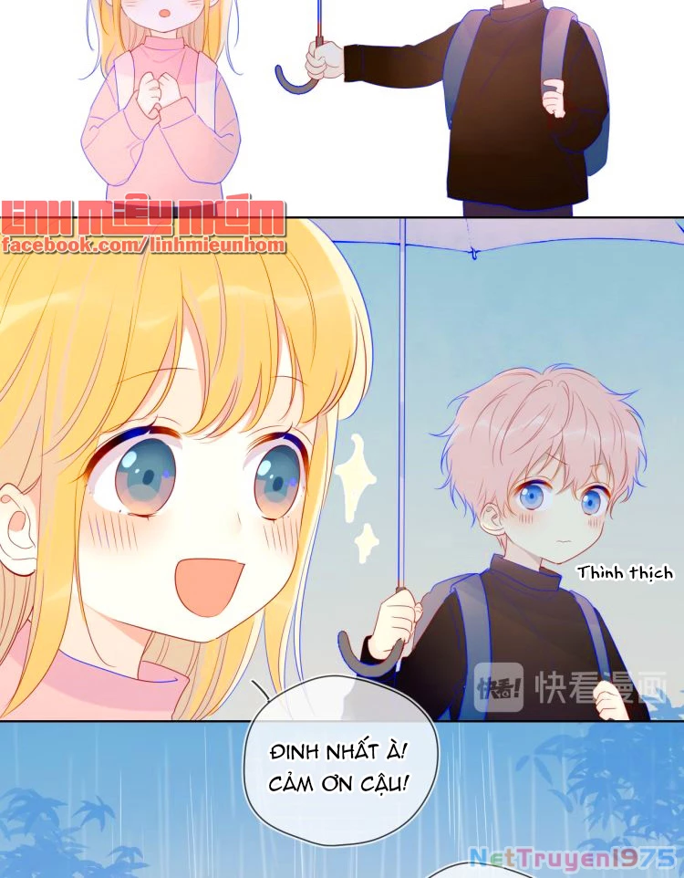 [Fix lỗi từ 110] Ngôi Sao Cho Tôi Chapter 24.5 - 9