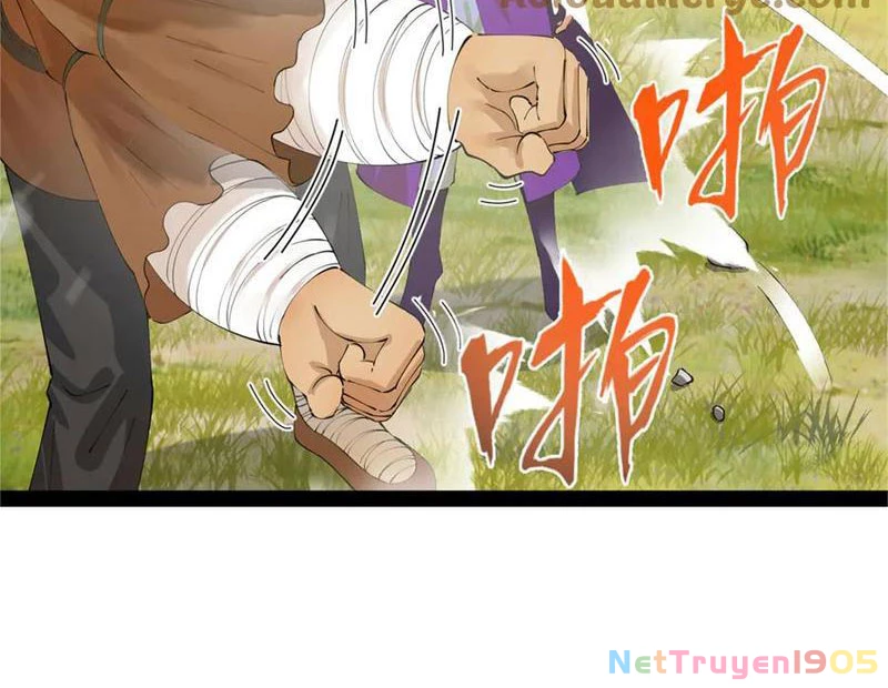 Chàng Rể Mạnh Nhất Lịch Sử Chapter 300 - 19