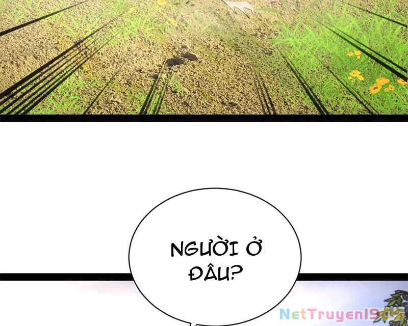 Chàng Rể Mạnh Nhất Lịch Sử Chapter 300 - 62