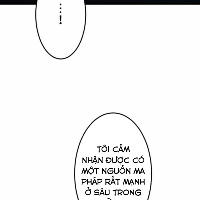 Vô Song Cùng Với Vũ Khí Ẩn Chapter 52 - 29