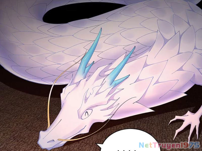 Hóa ra các cô ấy mới là nhân vật chính Chapter 34 - 102