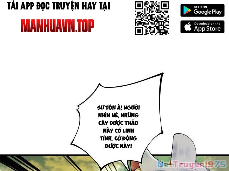 Gặp Mạnh Thì Mạnh, Ta Tu Vi Vô Thượng Hạn Chapter 44 - 22