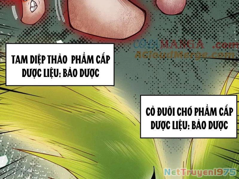 Gặp Mạnh Thì Mạnh, Ta Tu Vi Vô Thượng Hạn Chapter 44 - 29
