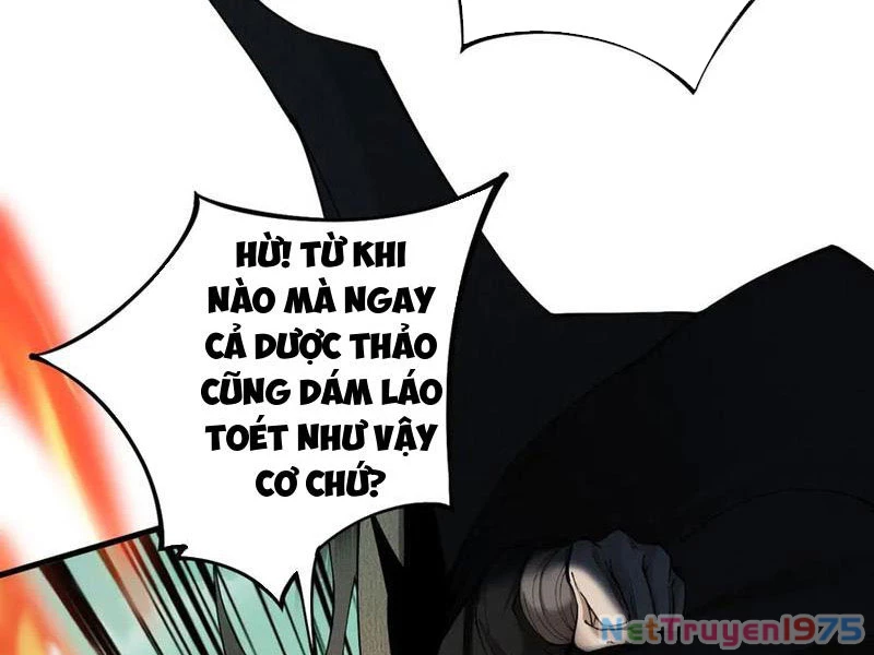 Gặp Mạnh Thì Mạnh, Ta Tu Vi Vô Thượng Hạn Chapter 44 - 31