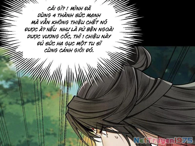 Gặp Mạnh Thì Mạnh, Ta Tu Vi Vô Thượng Hạn Chapter 44 - 42
