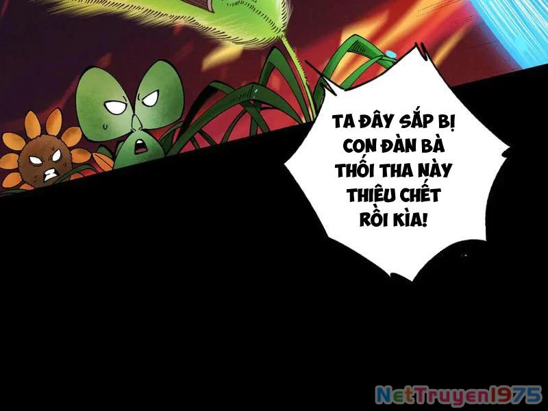 Gặp Mạnh Thì Mạnh, Ta Tu Vi Vô Thượng Hạn Chapter 44 - 57