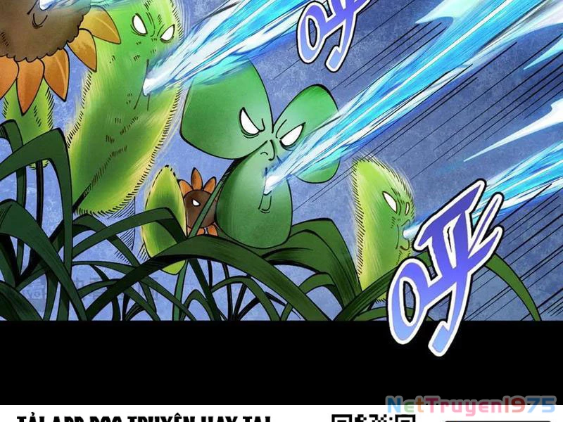 Gặp Mạnh Thì Mạnh, Ta Tu Vi Vô Thượng Hạn Chapter 44 - 59