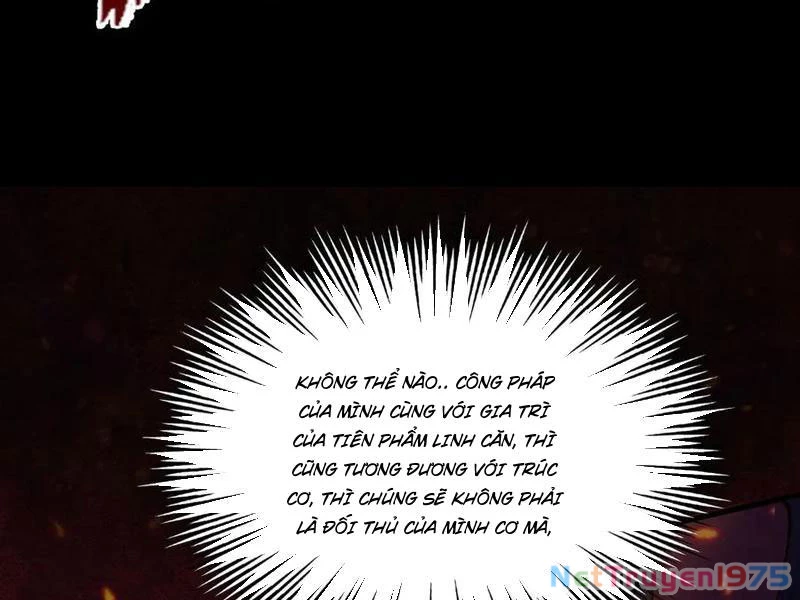 Gặp Mạnh Thì Mạnh, Ta Tu Vi Vô Thượng Hạn Chapter 44 - 65
