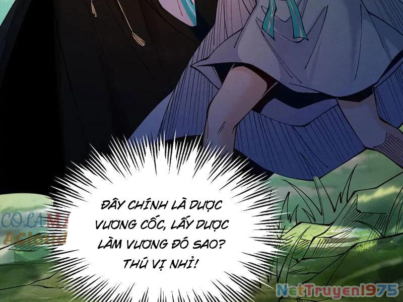 Gặp Mạnh Thì Mạnh, Ta Tu Vi Vô Thượng Hạn Chapter 44 - 78