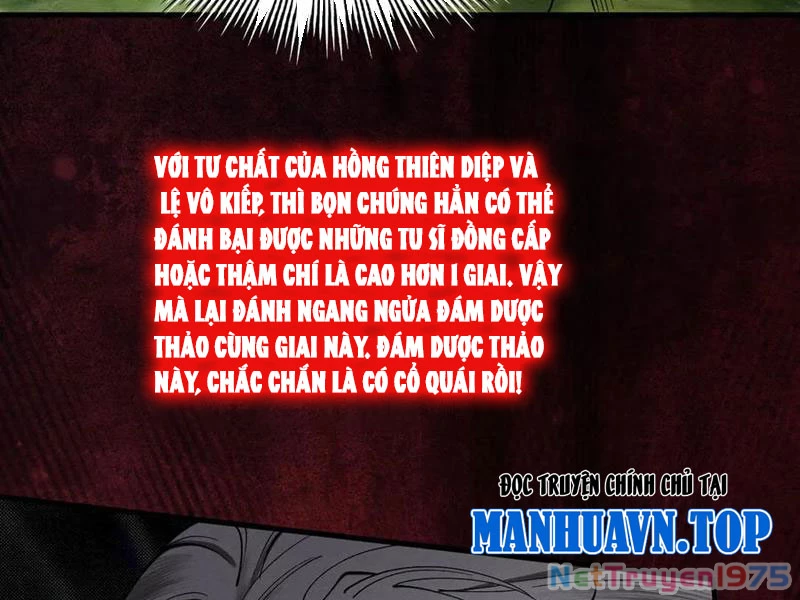 Gặp Mạnh Thì Mạnh, Ta Tu Vi Vô Thượng Hạn Chapter 44 - 79