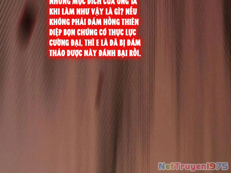 Gặp Mạnh Thì Mạnh, Ta Tu Vi Vô Thượng Hạn Chapter 44 - 84
