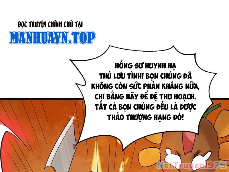 Gặp Mạnh Thì Mạnh, Ta Tu Vi Vô Thượng Hạn Chapter 44 - 116