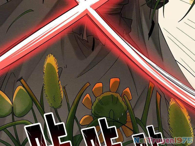 Gặp Mạnh Thì Mạnh, Ta Tu Vi Vô Thượng Hạn Chapter 44 - 118