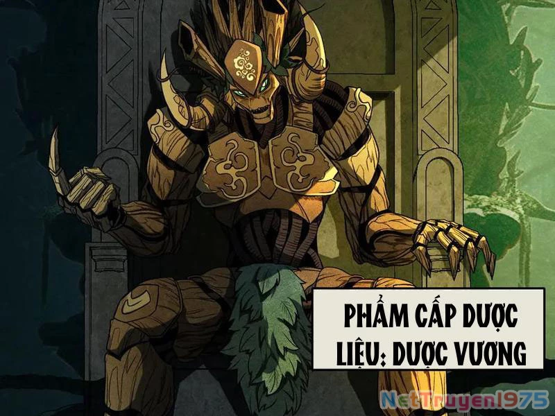 Gặp Mạnh Thì Mạnh, Ta Tu Vi Vô Thượng Hạn Chapter 44 - 153
