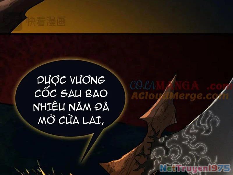 Gặp Mạnh Thì Mạnh, Ta Tu Vi Vô Thượng Hạn Chapter 44 - 164
