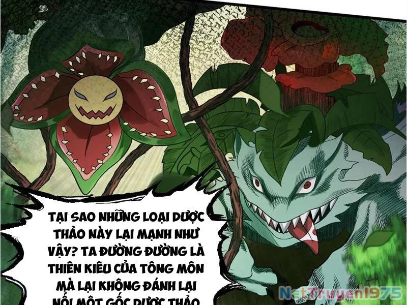 Gặp Mạnh Thì Mạnh, Ta Tu Vi Vô Thượng Hạn Chapter 45 - 6
