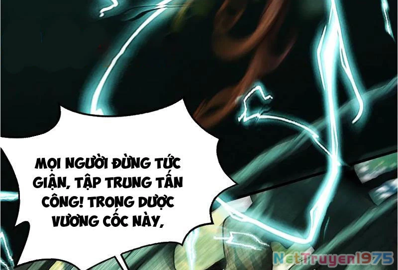 Gặp Mạnh Thì Mạnh, Ta Tu Vi Vô Thượng Hạn Chapter 45 - 31