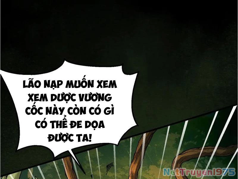 Gặp Mạnh Thì Mạnh, Ta Tu Vi Vô Thượng Hạn Chapter 45 - 52