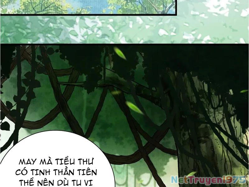 Gặp Mạnh Thì Mạnh, Ta Tu Vi Vô Thượng Hạn Chapter 45 - 63