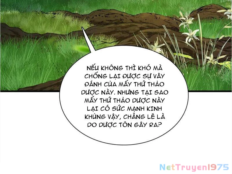 Gặp Mạnh Thì Mạnh, Ta Tu Vi Vô Thượng Hạn Chapter 45 - 65