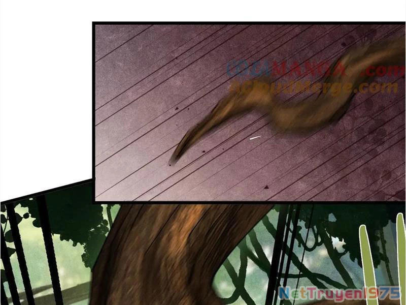 Gặp Mạnh Thì Mạnh, Ta Tu Vi Vô Thượng Hạn Chapter 45 - 70