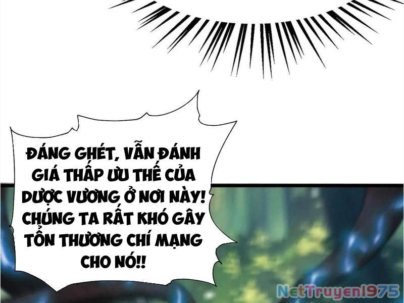 Gặp Mạnh Thì Mạnh, Ta Tu Vi Vô Thượng Hạn Chapter 45 - 179
