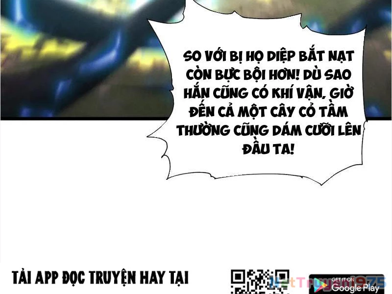Gặp Mạnh Thì Mạnh, Ta Tu Vi Vô Thượng Hạn Chapter 45 - 182