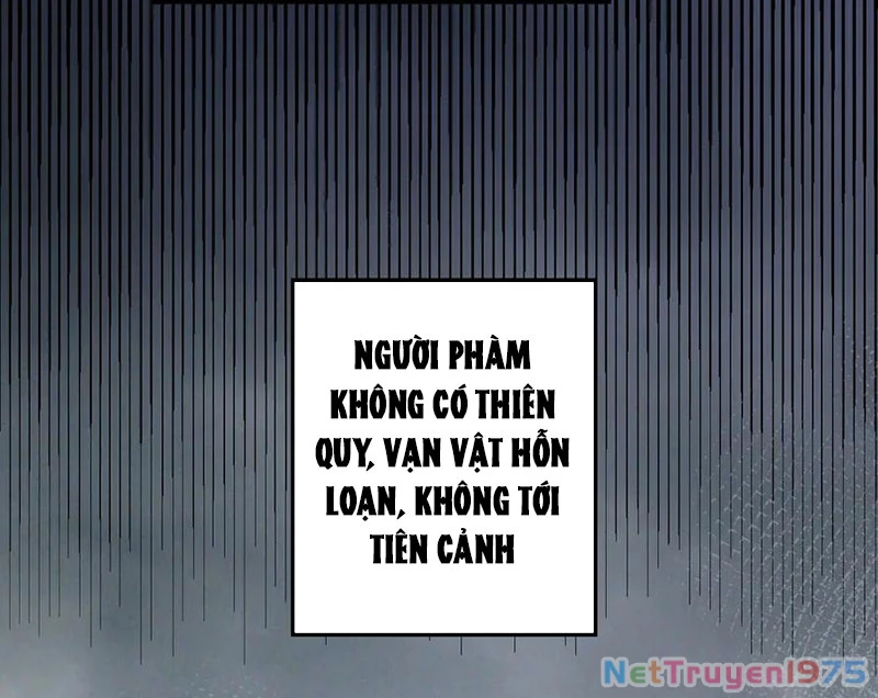 Đỉnh Cấp Khí Vận, Lặng Lẽ Tu Luyện Ngàn Năm Chapter 217 - 46