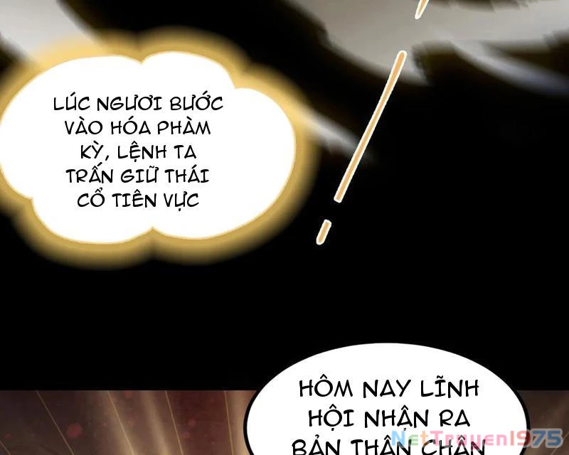 Hoá Ra Ta Đã Vô Địch Từ Lâu Chapter 293 - 87
