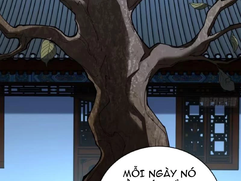 Thành Thần Bắt Đầu Từ Thủy Hầu Tử Chapter 39 - 39