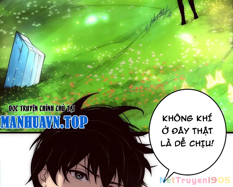 Thảm Họa Tử Linh Sư Chapter 181 - 68