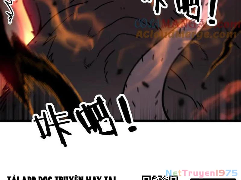 Lão xà tu tiên truyện Chapter 40 - 14