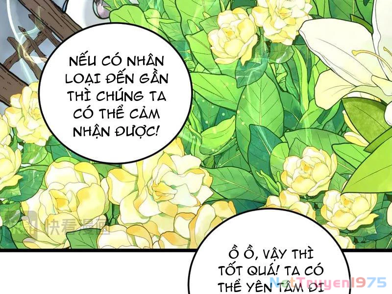 Lão xà tu tiên truyện Chapter 40 - 34