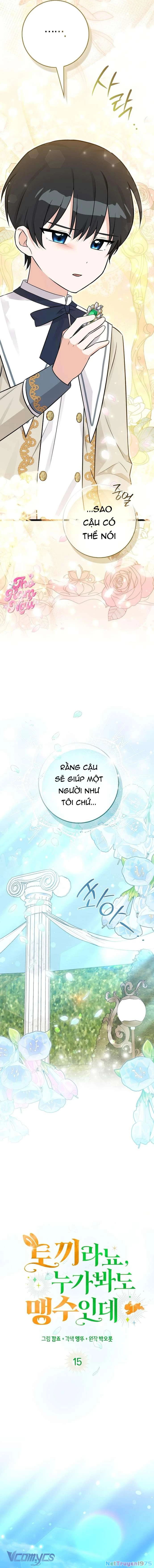 Thỏ Á? Rõ Ràng Là Mãnh Thú Cơ Mà! Chapter 15 - 10