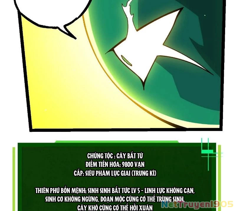 Chuyển Sinh Thành Liễu Đột Biến Chapter 375 - 40