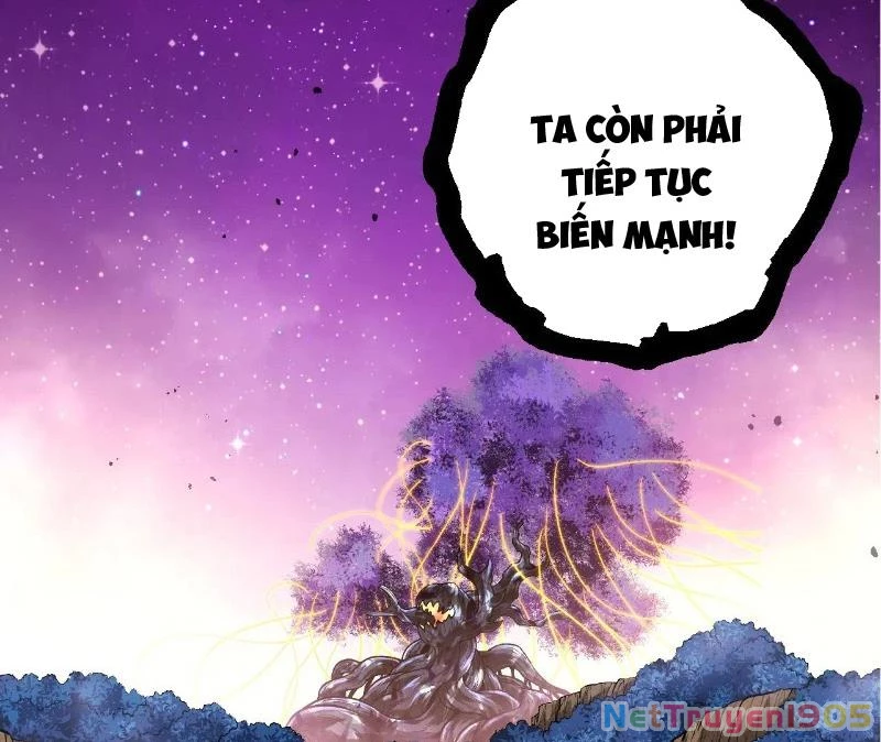 Chuyển Sinh Thành Liễu Đột Biến Chapter 375 - 78