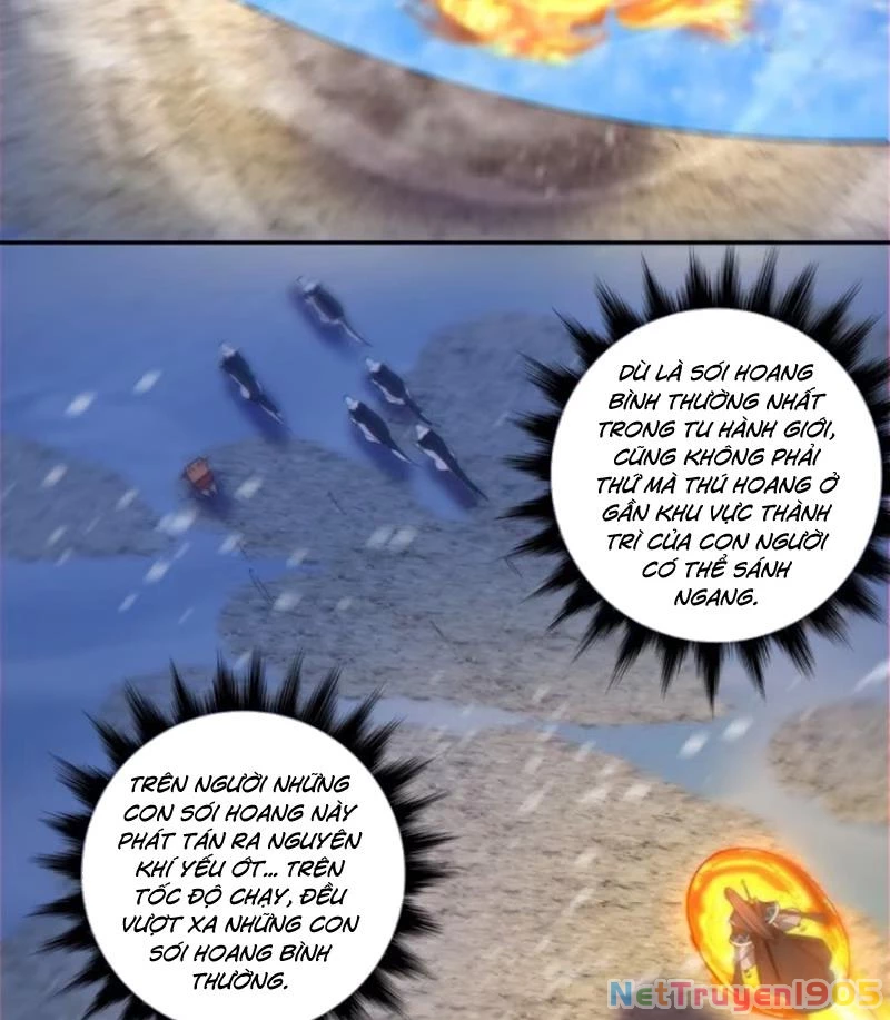 Đồ Đệ Của Ta Đều Là Đại Phản Phái Chapter 374 - 74